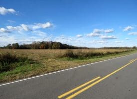 27+/- Acres of Farm Land For Sale in Lenoir County, NC!