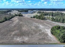 41+/- Acres of Residential and Hunting Land For Sale in Robeson County, NC!