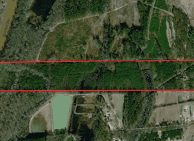 69+/- Acres of Hunting and Residential Land For Sale in Cumberland County, NC