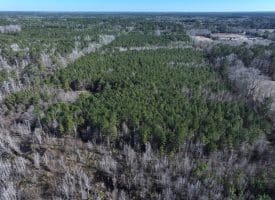 69+/- Acres of Hunting and Residential Land For Sale in Cumberland County, NC