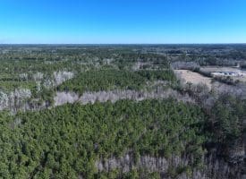 69+/- Acres of Hunting and Residential Land For Sale in Cumberland County, NC