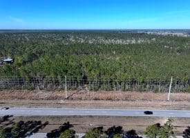 23+/- Acres of Residential and Timber Land For Sale in Brunswick County, NC!