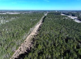 23+/- Acres of Residential and Timber Land For Sale in Brunswick County, NC!