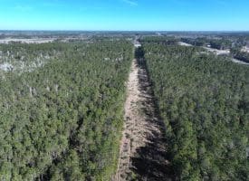 23+/- Acres of Residential and Timber Land For Sale in Brunswick County, NC!