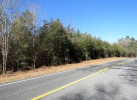 69+/- Acres of Hunting and Residential Land For Sale in Cumberland County, NC