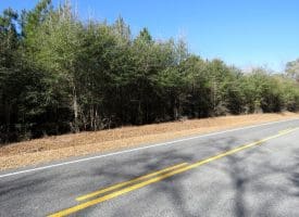 69+/- Acres of Hunting and Residential Land For Sale in Cumberland County, NC