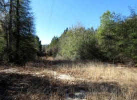 69+/- Acres of Hunting and Residential Land For Sale in Cumberland County, NC