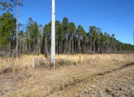 23+/- Acres of Residential and Timber Land For Sale in Brunswick County, NC!