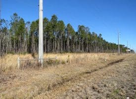 23+/- Acres of Residential and Timber Land For Sale in Brunswick County, NC!