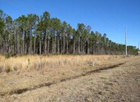 23+/- Acres of Residential and Timber Land For Sale in Brunswick County, NC!