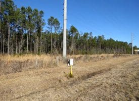 23+/- Acres of Residential and Timber Land For Sale in Brunswick County, NC!