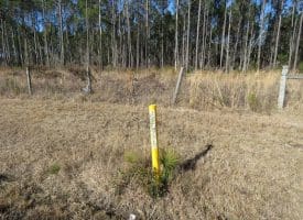 23+/- Acres of Residential and Timber Land For Sale in Brunswick County, NC!