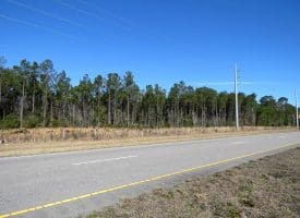 23+/- Acres of Residential and Timber Land For Sale in Brunswick County, NC!