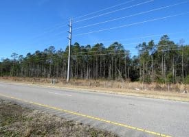 23+/- Acres of Residential and Timber Land For Sale in Brunswick County, NC!