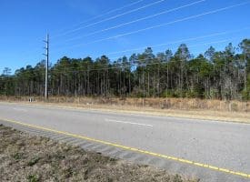 23+/- Acres of Residential and Timber Land For Sale in Brunswick County, NC!