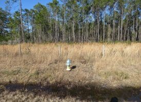 23+/- Acres of Residential and Timber Land For Sale in Brunswick County, NC!