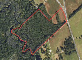 23+/- Acres of Hunting and Residential Land For Sale in Robeson County, NC!