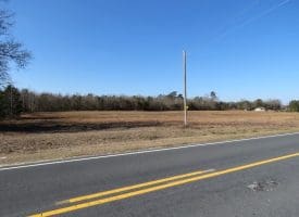 23+/- Acres of Hunting and Residential Land For Sale in Robeson County, NC!