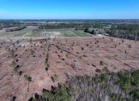 40+/- Acres of Timber and Hunting Land For Sale in Robeson County, NC!