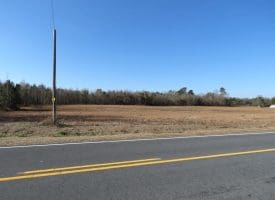 23+/- Acres of Hunting and Residential Land For Sale in Robeson County, NC!