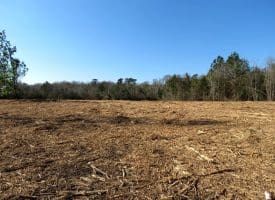 23+/- Acres of Hunting and Residential Land For Sale in Robeson County, NC!