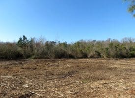 23+/- Acres of Hunting and Residential Land For Sale in Robeson County, NC!