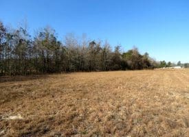 23+/- Acres of Hunting and Residential Land For Sale in Robeson County, NC!