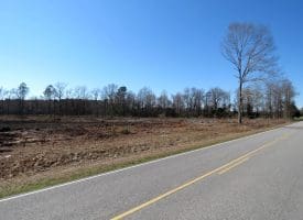 40+/- Acres of Timber and Hunting Land For Sale in Robeson County, NC!