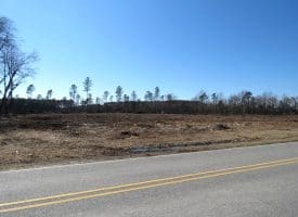 40+/- Acres of Timber and Hunting Land For Sale in Robeson County, NC!