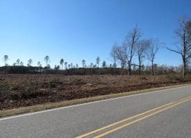 40+/- Acres of Timber and Hunting Land For Sale in Robeson County, NC!