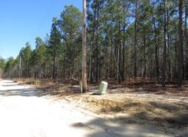 6+/- Acres of Residential Land For Sale in Scotland County, NC!