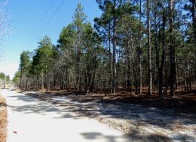 6+/- Acres of Residential Land For Sale in Scotland County, NC!