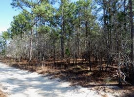 6+/- Acres of Residential Land For Sale in Scotland County, NC!