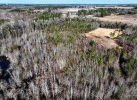 23+/- Acres of Hunting and Residential Land For Sale in Robeson County, NC!