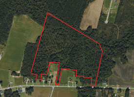 49+/- Acres of Hunting and Timber Land For Sale in Columbus County, NC!