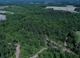 49+/- Acres of Hunting and Timber Land For Sale in Columbus County, NC!