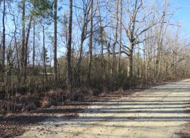 16+/- Acres of Farm and Development Land For Sale in Robeson County, NC!