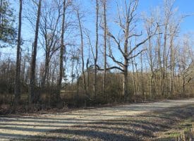 16+/- Acres of Farm and Development Land For Sale in Robeson County, NC!