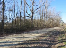 16+/- Acres of Farm and Development Land For Sale in Robeson County, NC!