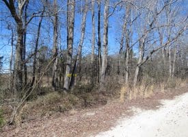 16+/- Acres of Farm and Development Land For Sale in Robeson County, NC!