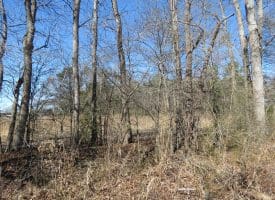 16+/- Acres of Farm and Development Land For Sale in Robeson County, NC!